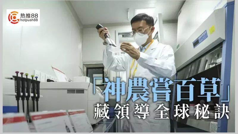 CDMO平台创新药研发：平台对比与选择要点