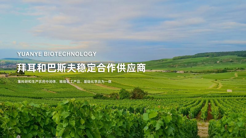 在投资生物科技上市公司龙头股时，投资者应关注以下建议：