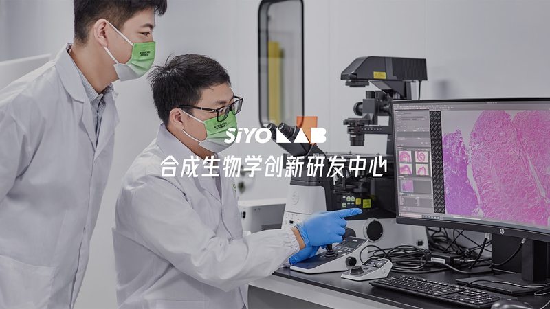生物医药CDMO公司排名背后的考量因素