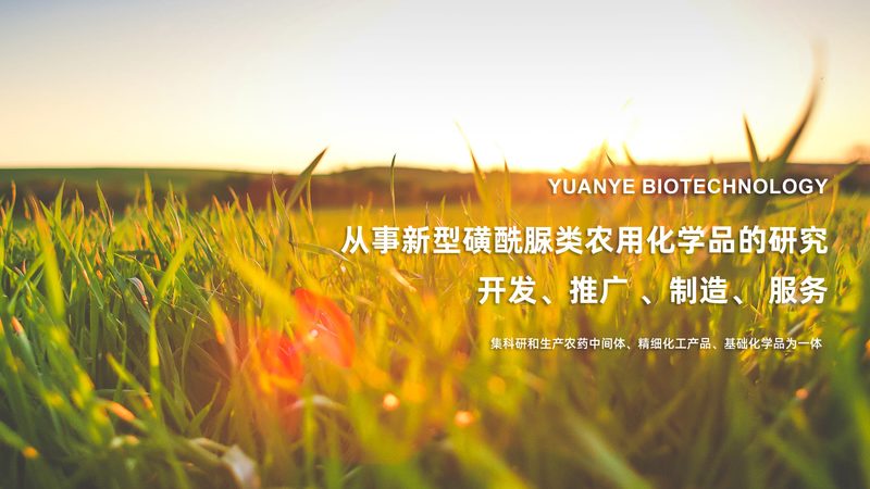基因测序，精准医疗的未来：北京基因测序公司哪家强？**