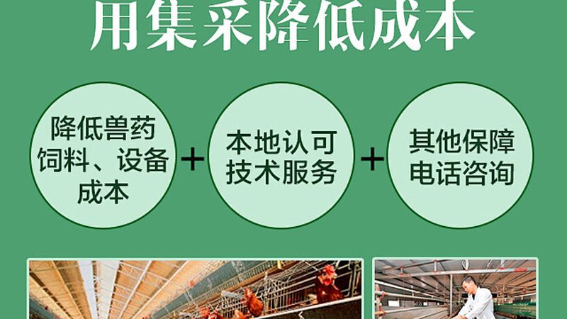 基因编辑试剂：如何选择合适的批发供应商