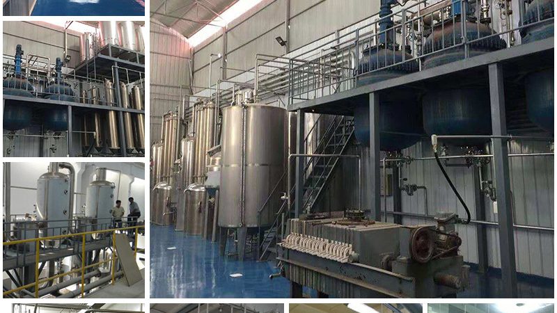 基因检测，精准医疗的利器：上海基因检测公司如何选择？**