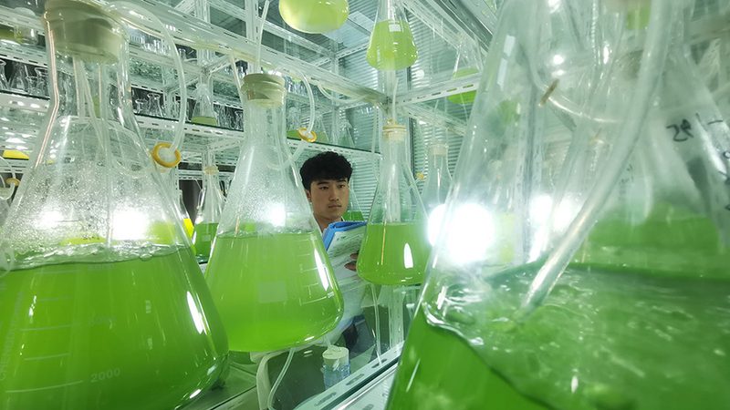 基因检测机构参数对比：揭秘基因检测背后的技术奥秘
